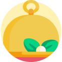 047-tray